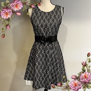 Juniors' HeartSoul Floral Striped Skater Dress with Bow Belt